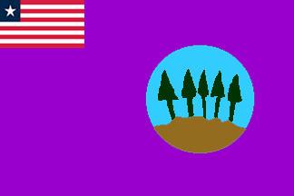 Flag of Bomi County