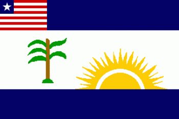 Flag of River Gee County
